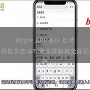 Bitpie APP备份 比特派钱包安全吗？专家详解其全面优势