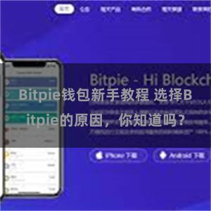 Bitpie钱包新手教程 选择Bitpie的原因，你知道吗？