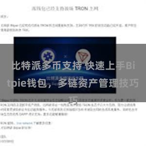 比特派多币支持 快速上手Bitpie钱包，多链资产管理技巧