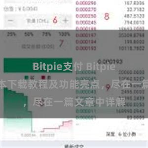 Bitpie支付 Bitpie钱包最新版本下载教程及功能亮点，尽在一篇文章中详解