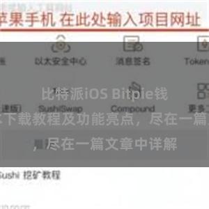 比特派iOS Bitpie钱包最新版本下载教程及功能亮点，尽在一篇文章中详解