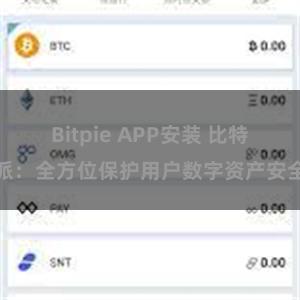 Bitpie APP安装 比特派：全方位保护用户数字资产安全