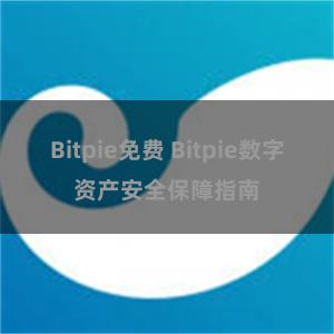 Bitpie免费 Bitpie数字资产安全保障指南