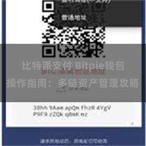 比特派支付 Bitpie钱包操作指南：多链资产管理攻略