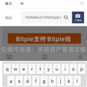 Bitpie支付 Bitpie钱包操作指南：多链资产管理攻略