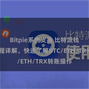 Bitpie系统支持 比特派钱包转账教程详解，快速了解BTC/ETH/TRX转账操作