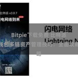 Bitpie下载免费 比特派钱包多链资产管理技巧：全面攻略