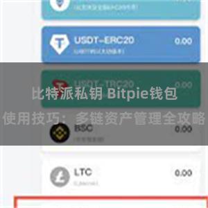 比特派私钥 Bitpie钱包使用技巧：多链资产管理全攻略