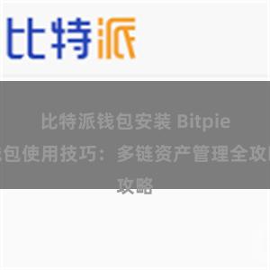 比特派钱包安装 Bitpie钱包使用技巧：多链资产管理全攻略