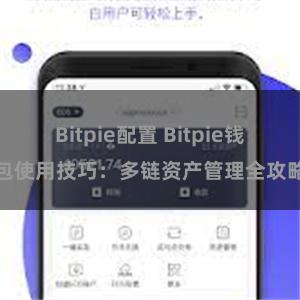 Bitpie配置 Bitpie钱包使用技巧：多链资产管理全攻略