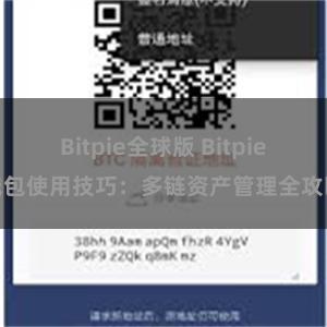 Bitpie全球版 Bitpie钱包使用技巧：多链资产管理全攻略