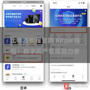 比特派教程官网 Bitpie钱包：数字资产管理助力者