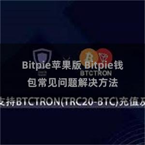 Bitpie苹果版 Bitpie钱包常见问题解决方法