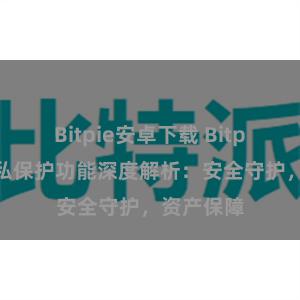 Bitpie安卓下载 Bitpie钱包隐私保护功能深度解析：安全守护，资产保障