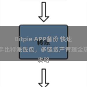 Bitpie APP备份 快速上手比特派钱包，多链资产管理全攻略