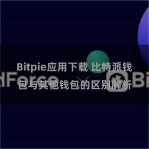 Bitpie应用下载 比特派钱包与其他钱包的区别解析