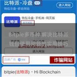 Bitpie多币种 解决比特派钱包使用问题的实用技巧