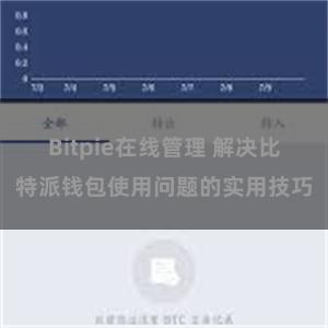 Bitpie在线管理 解决比特派钱包使用问题的实用技巧