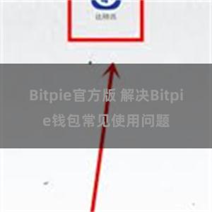 Bitpie官方版 解决Bitpie钱包常见使用问题