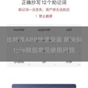 比特派APP快速安装 解决Bitpie钱包常见使用问题