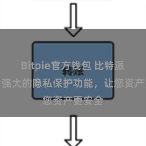 Bitpie官方钱包 比特派钱包：强大的隐私保护功能，让您资产更安全