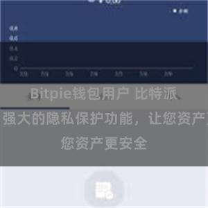 Bitpie钱包用户 比特派钱包：强大的隐私保护功能，让您资产更安全