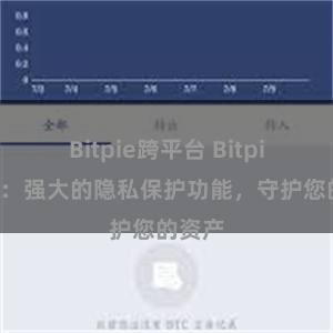 Bitpie跨平台 Bitpie钱包：强大的隐私保护功能，守护您的资产