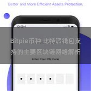 Bitpie币种 比特派钱包支持的主要区块链网络解析