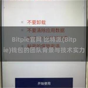 Bitpie官网 比特派(Bitpie)钱包的团队背景与技术实力