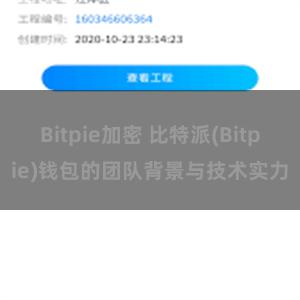 Bitpie加密 比特派(Bitpie)钱包的团队背景与技术实力