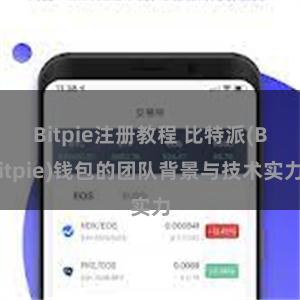 Bitpie注册教程 比特派(Bitpie)钱包的团队背景与技术实力