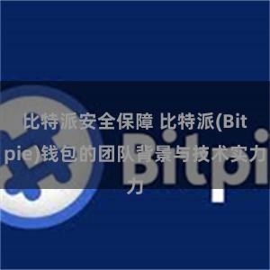 比特派安全保障 比特派(Bitpie)钱包的团队背景与技术实力