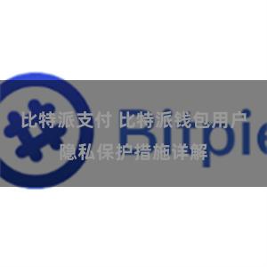 比特派支付 比特派钱包用户隐私保护措施详解