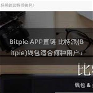 Bitpie APP直链 比特派(Bitpie)钱包适合何种用户？